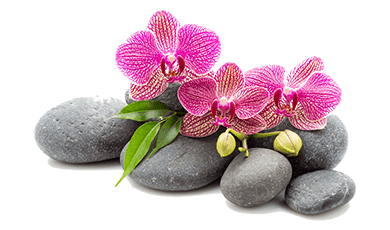 Ocean Nails Salon in Oceanside, CA 92058 | 650 Douglas Dr